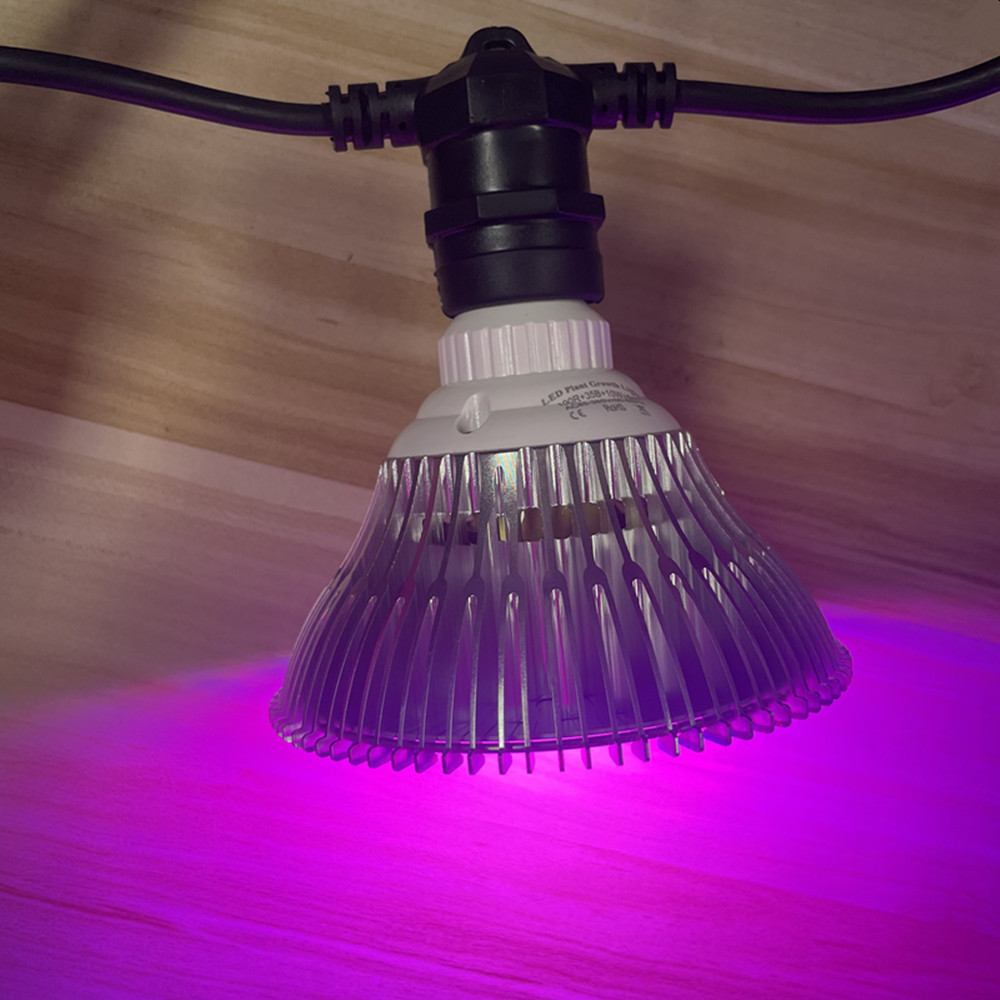 Kabel LED 10M Kelas Komersial  - Outdoor Lighting Wedding Decor ulasan dan harga